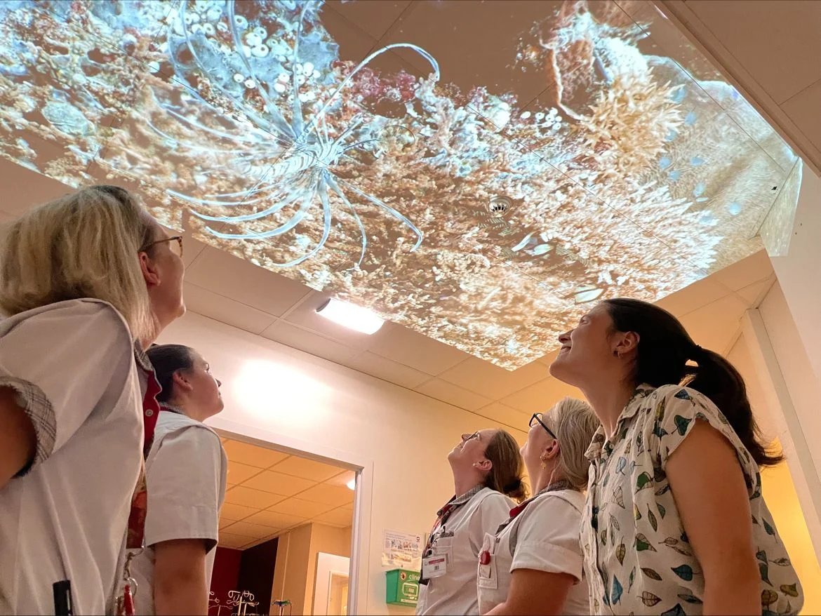 85406466-dfc4-4c1d-ad8a-90df00b5544f